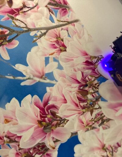 Stampa su parete robotizzata - Decorazioni artistiche Sassari